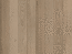 Obkladové panely do interiéru Vilo - Motivo PD250 Modern - Carmel Wood /0,25 x 2,65 m